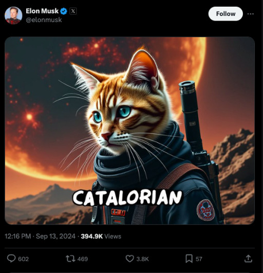 Elon Musk - Catalorian Meme Tweet (12:16pm Sept 13, 2024)